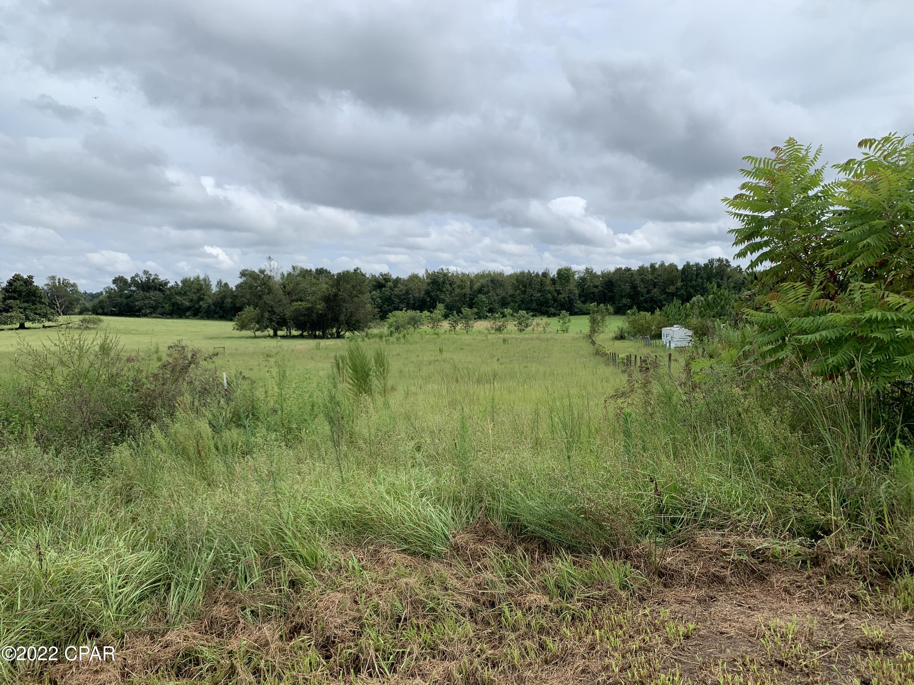 5219 Blue Springs Road Marianna, FL 32446 - Photo 58 of 59 Gallery Image 58