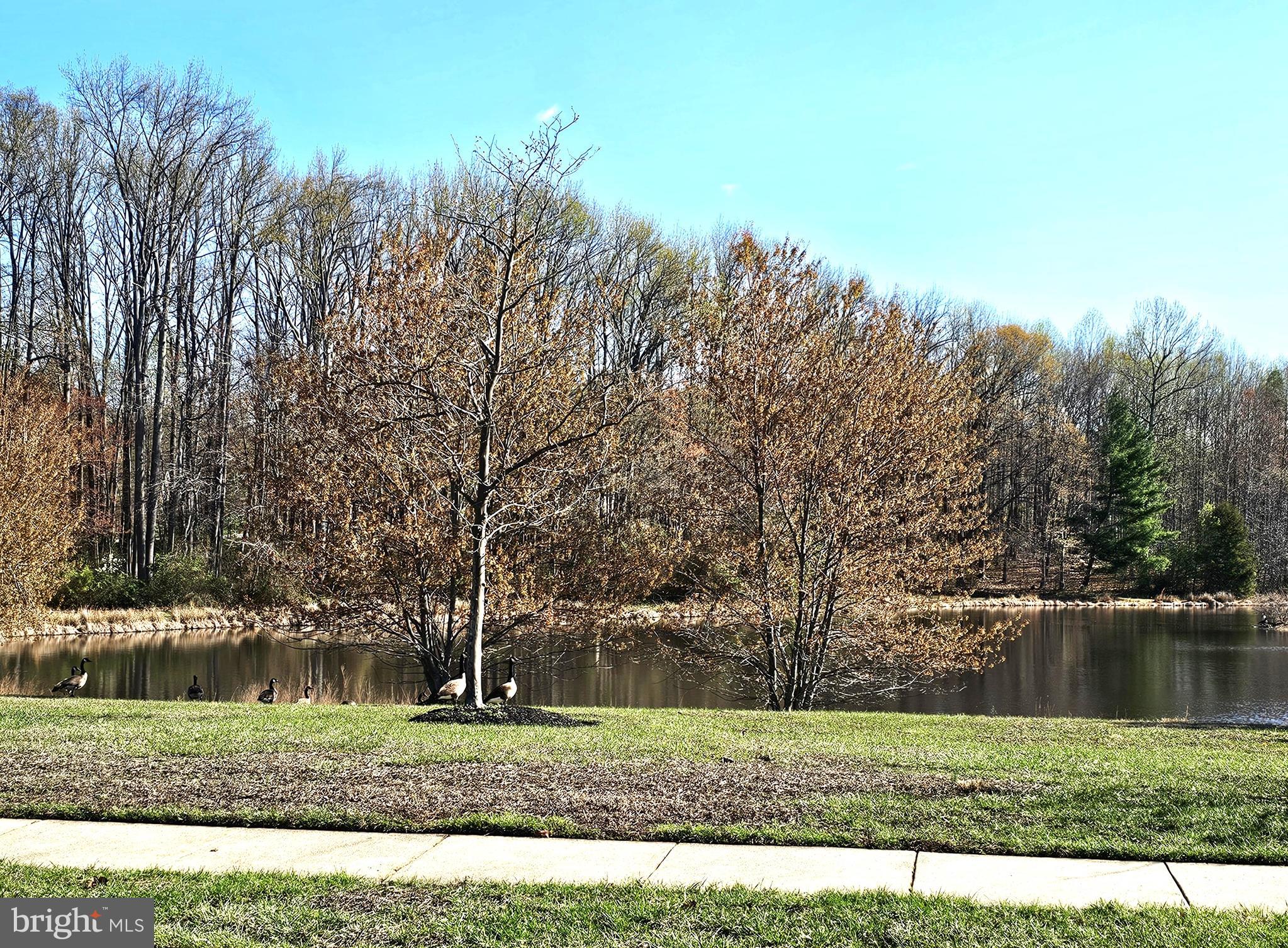 Shagbark Lane Elkton, MD 21921 - Photo 4 of 7 Community Grounds
