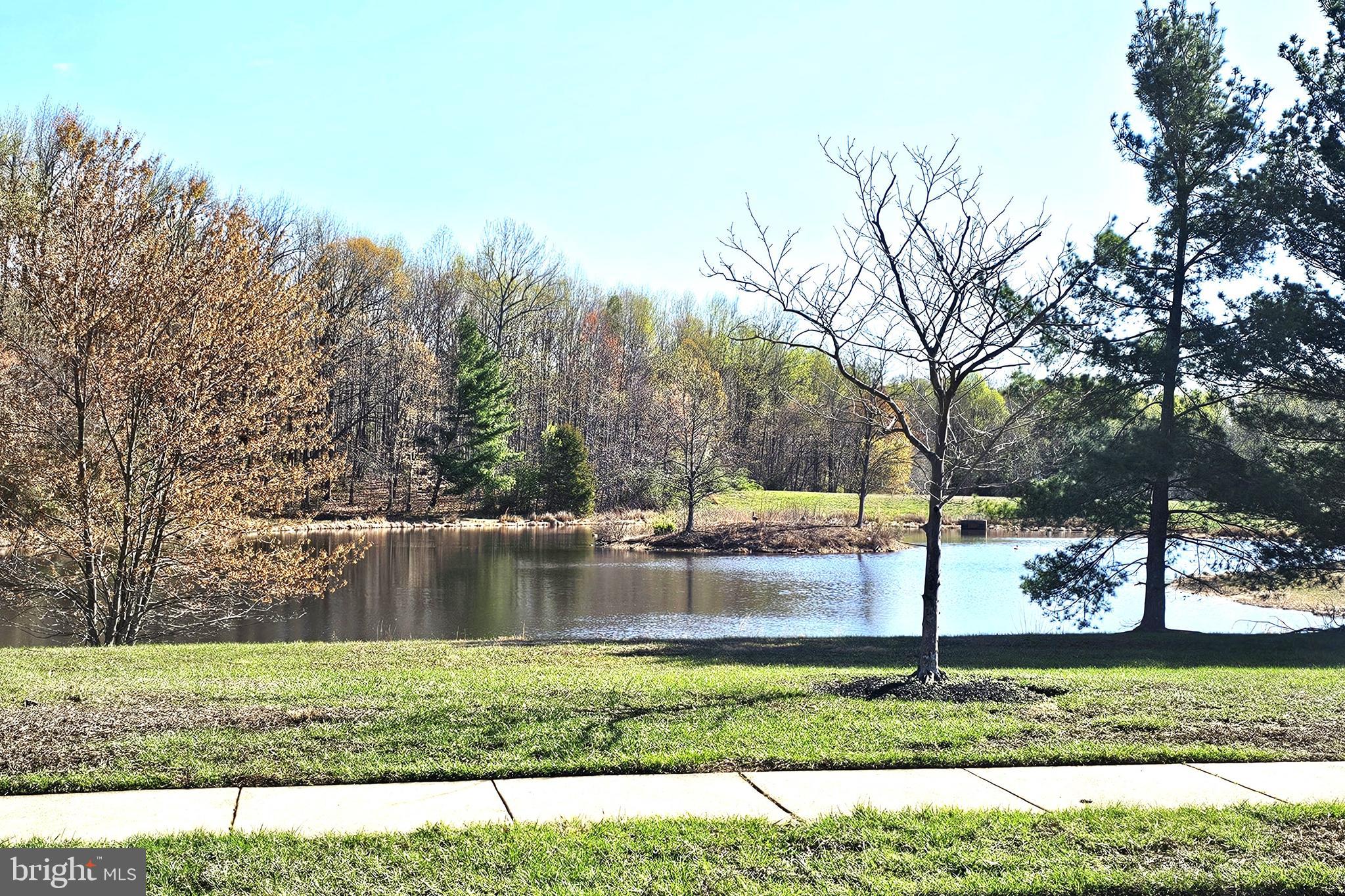 Shagbark Lane Elkton, MD 21921 - Photo 5 of 7 Community Grounds