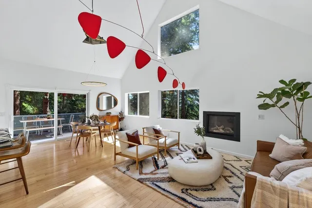 a living room with furniture potted plant and a fireplace