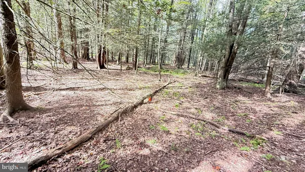 a view of outdoor space with trees