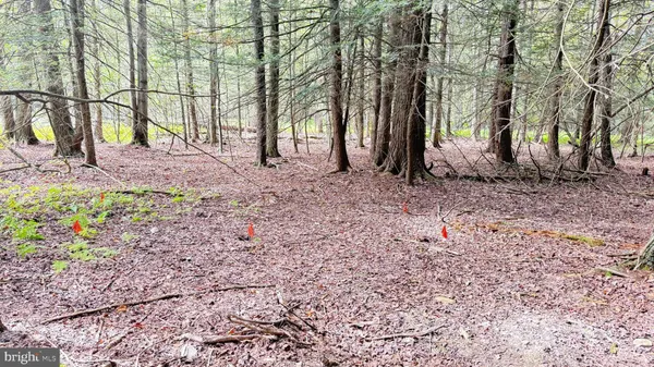 a view of backyard with green space