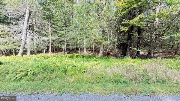 a view of house with a backyard