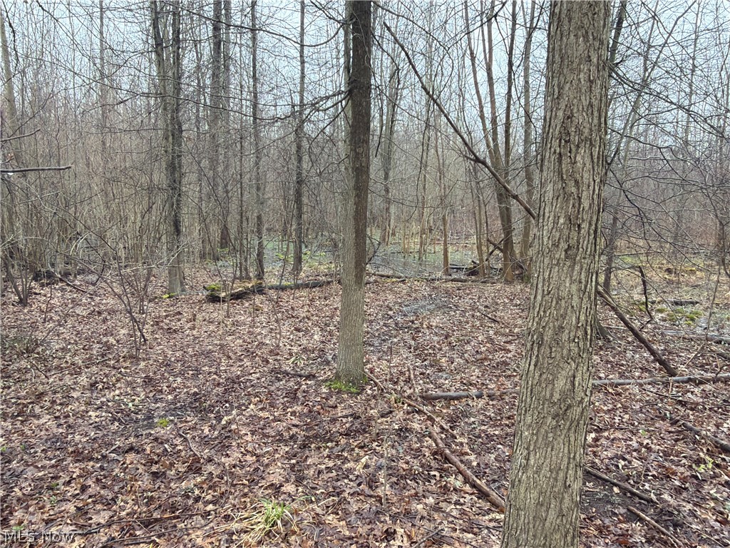 Ninevah Road Geneva, OH 44041 - Photo 12 of 20