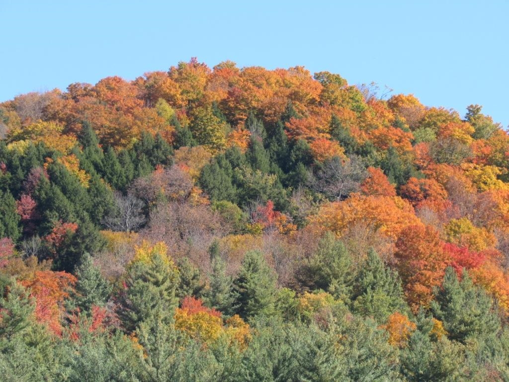 0 Blackmer Boulevard Stockbridge, VT 05772 - Photo 2 of 2