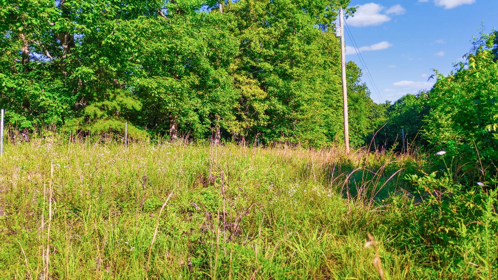2701 Gray Branch Road McEwen, TN 37101 - Photo 8 of 15 Gallery Image 8