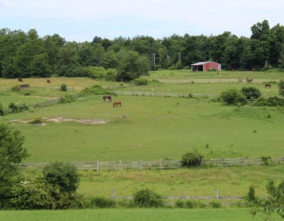0 Old Bay Road Bolton, MA 01740 - Photo 3 of 4 Gallery Image 3