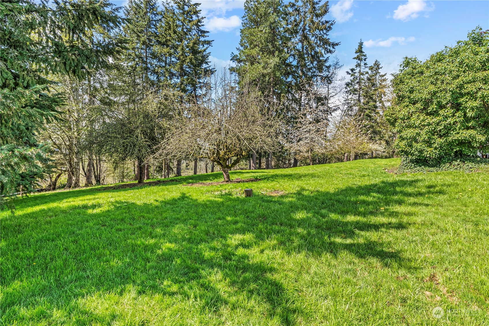 1750 Holcomb Road Kelso, WA 98626 - Photo 20 of 35 Gallery Image 20