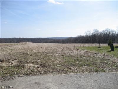 Scenic Ridge Drive Rittman, OH 44270 - Photo 1 of 1 Gallery Image 1