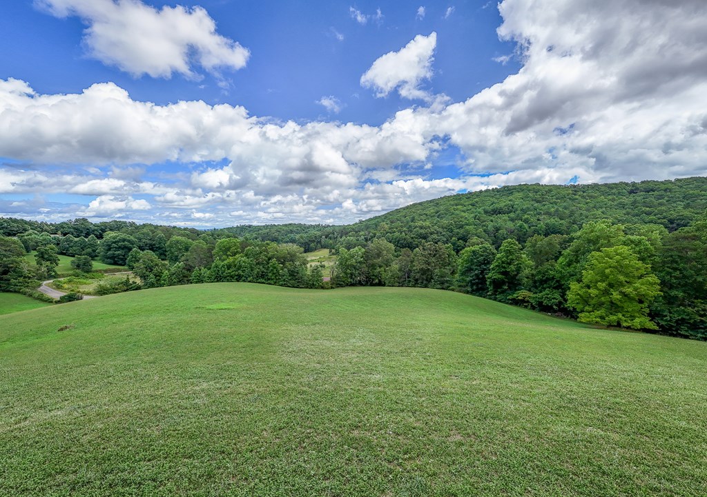0 Crowe Road Murphy, NC 28906 - Photo 52 of 52 Gallery Image 52