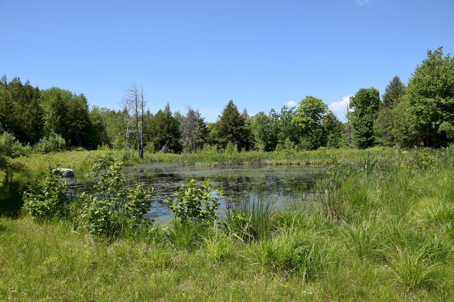 182 Sterry Hill Road Starks, ME 04911 - Photo 94 of 115 farm pond
