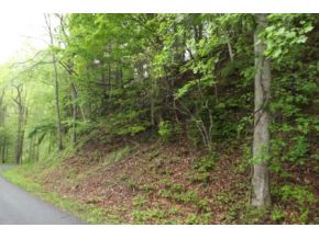 Lot 36 Sugar Hollow Road Butler, TN 37640 - Photo 1 of 3 Photo 1