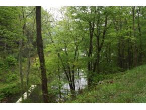 Lot 36 Sugar Hollow Road Butler, TN 37640 - Photo 2 of 3 Photo 2