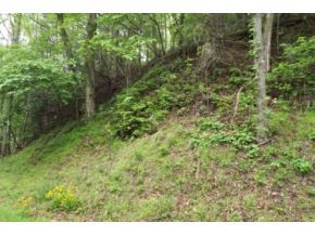 Lot 36 Sugar Hollow Road Butler, TN 37640 - Photo 3 of 3 Photo 3
