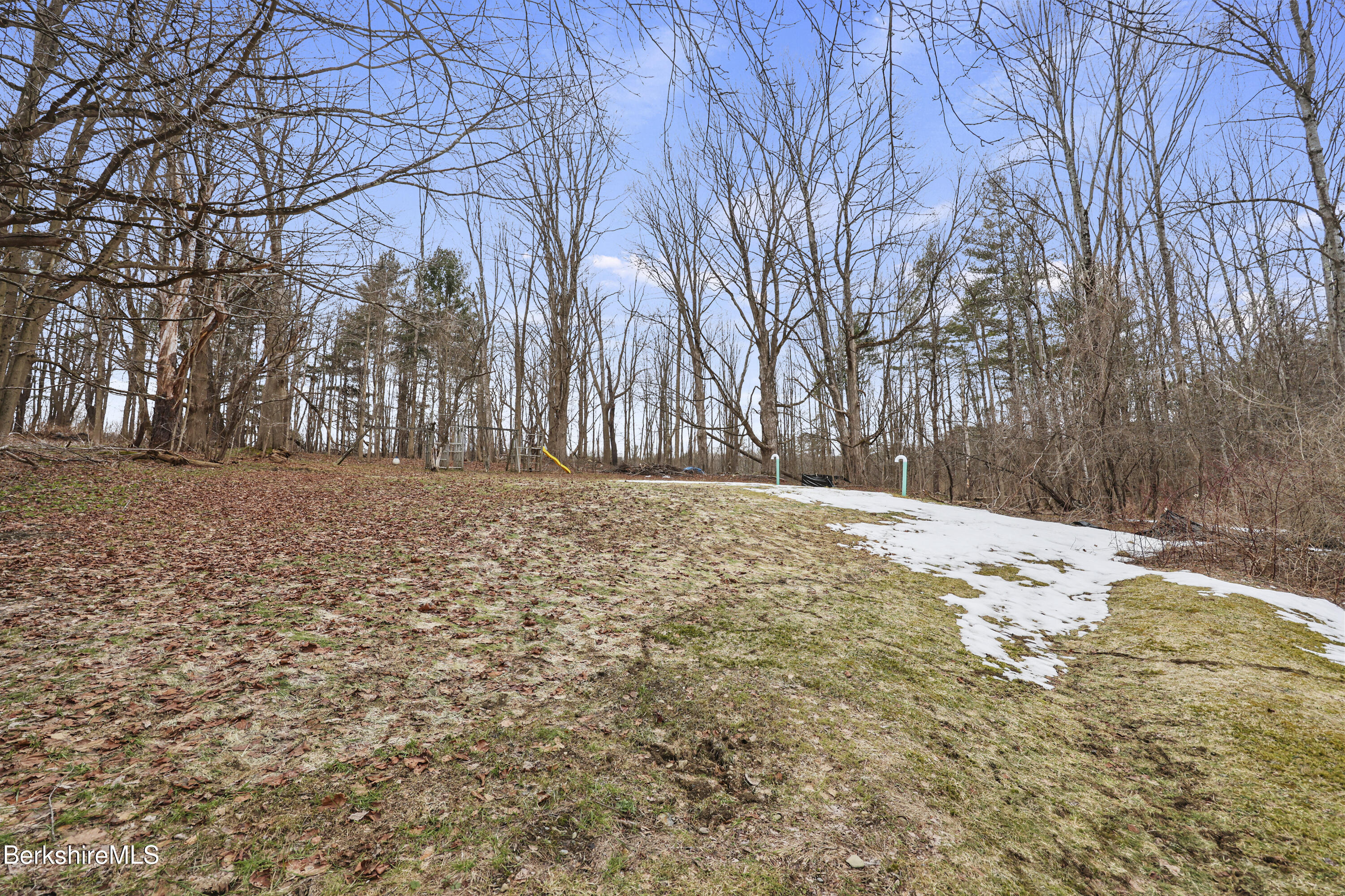 3 Van Schaack Road West Stockbridge, MA 01266 - Photo 38 of 43 200 Back Yard