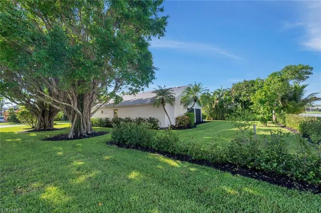 a view of a backyard with large trees