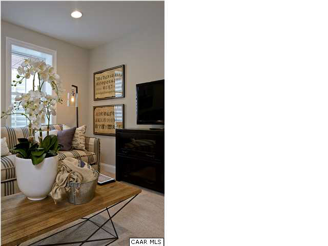 2068 Avinity Loop Charlottesville, VA 22902 - Photo 16 of 16 a living room with furniture and a potted plant