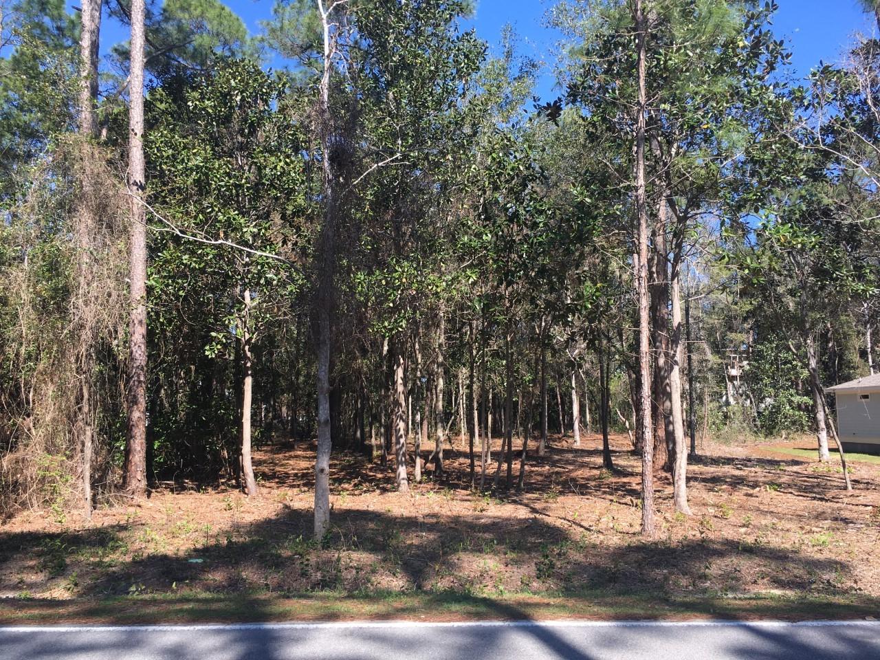 Lot 31 Little Canal Santa Rosa Beach Santa Rosa Beach, FL 32459 - Photo 1 of 3 Cleared Lot