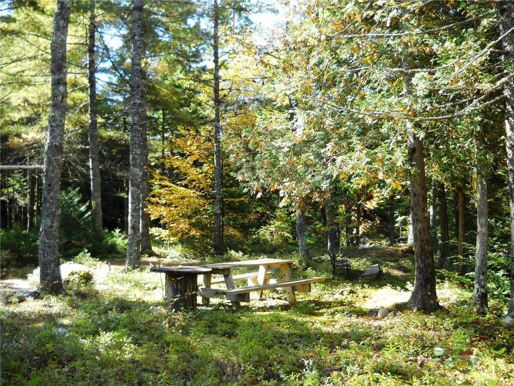 Lot 25 River Bend Road Deblois, ME 04622 - Photo 11 of 27 Photo