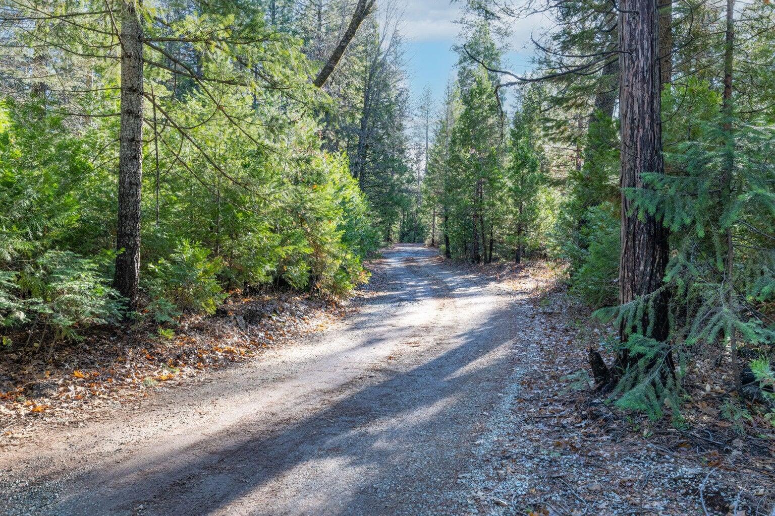 Montgomery Road Shingletown, CA 96088 - Photo 18 of 20 a view of a dirt road with trees in the background