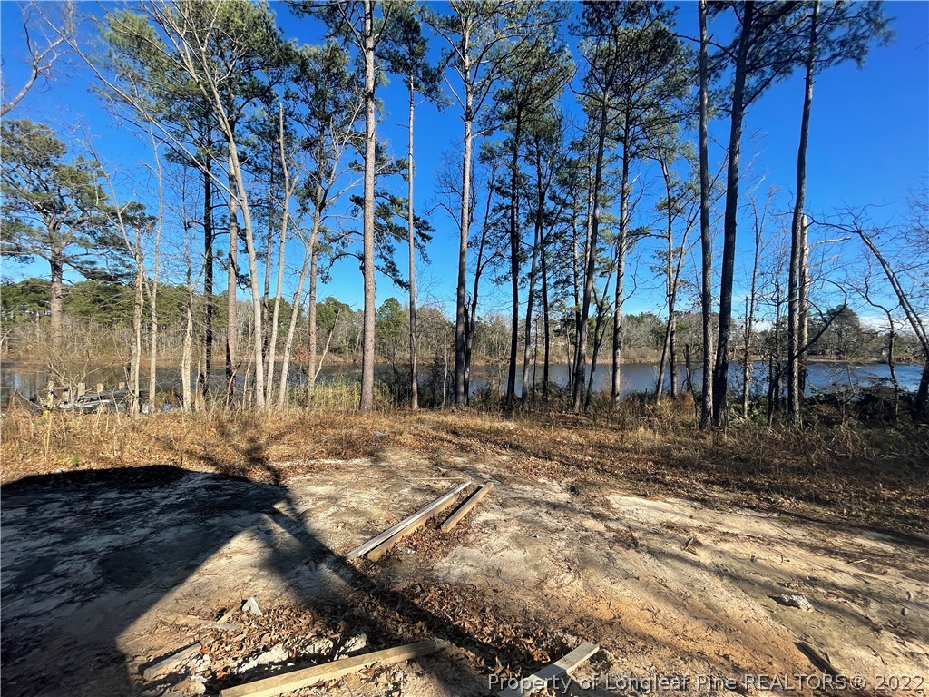 330 West Lake Road Raeford, NC 28376 - Photo 3 of 45 Gallery Image 3