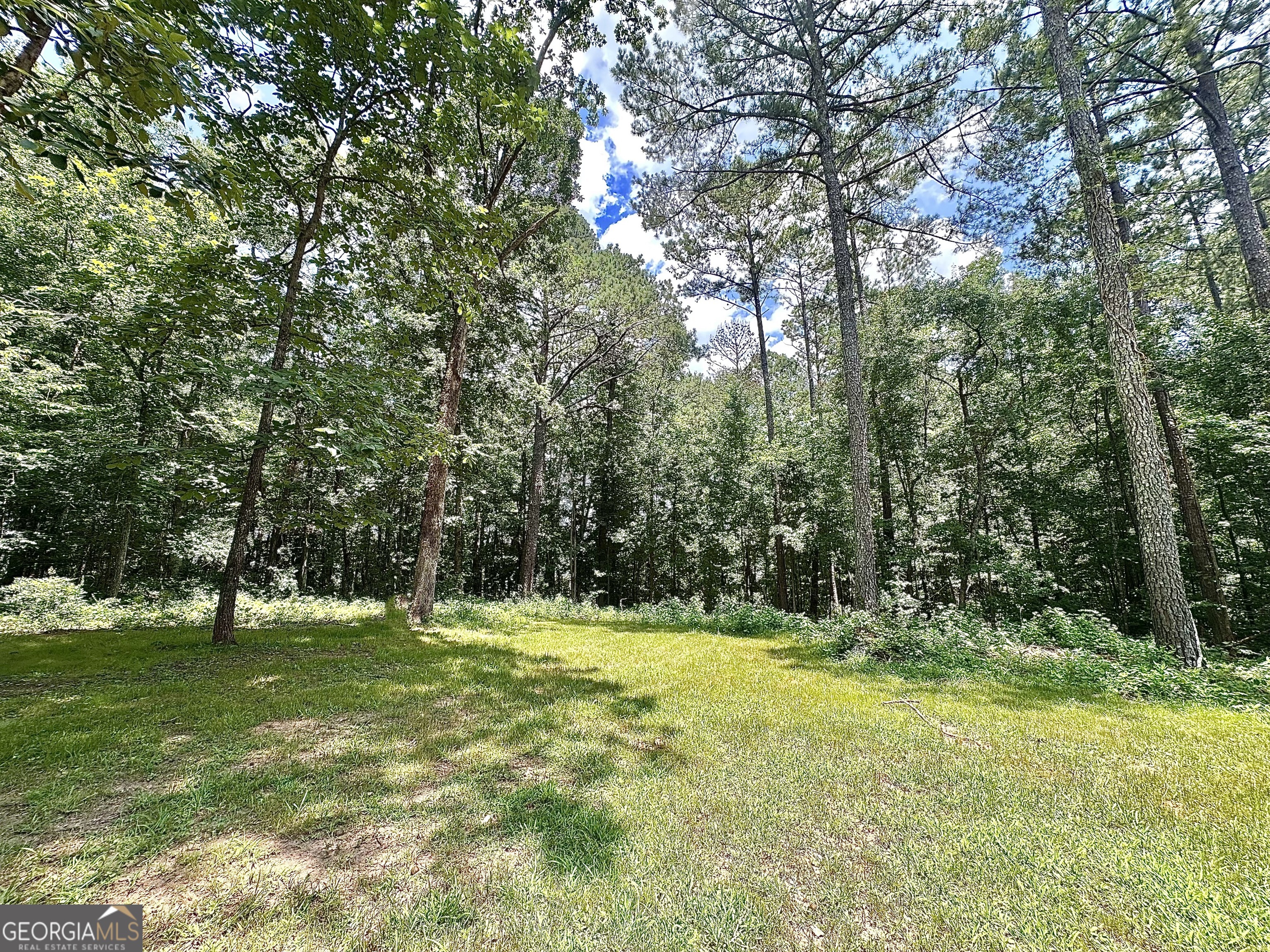 115 Creekside Lane Covington, GA 30016 - Photo 15 of 59 a view of swimming pool with a tree
