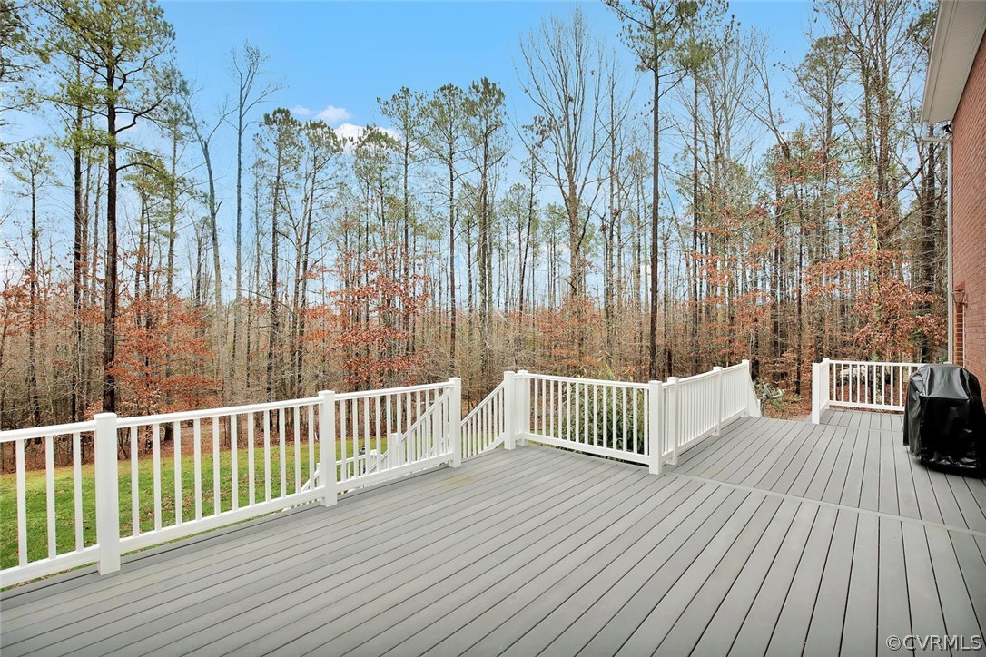 11101 Walkmill Reach Trail Chesterfield, VA 23832 - Photo 29 of 33