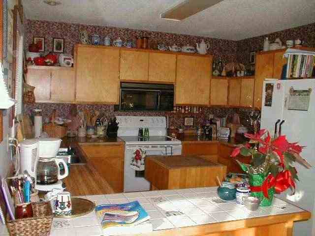 202 Middle Mountain Road Pickens, SC 29671 - Photo 3 of 9