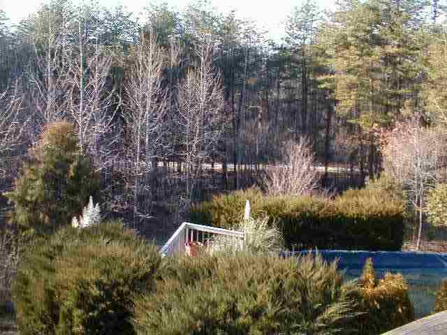 202 Middle Mountain Road Pickens, SC 29671 - Photo 8 of 9