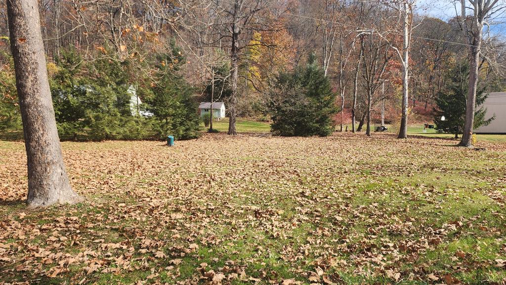 0 Country Club Road Mount Union, PA 17066 - Photo 2 of 2 Gallery Image 2
