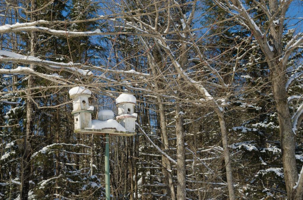 141 Plummer Mill Road Durham, ME 04222 - Photo 6 of 35 Photo