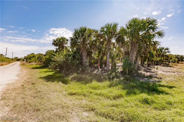 a view of a house and outdoor space