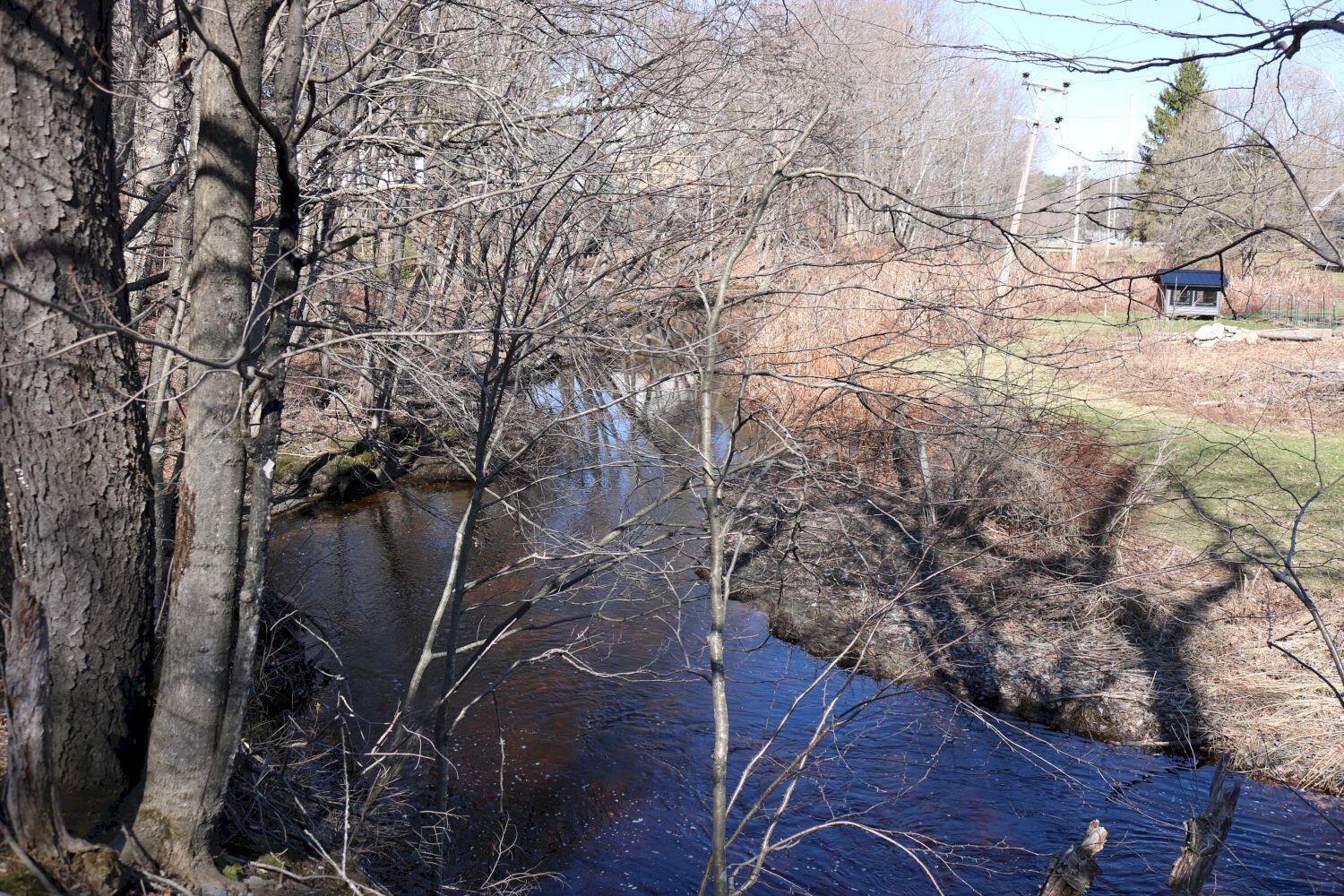 20 Towne Road Madison, ME 04950 - Photo 43 of 53 IMG_0090