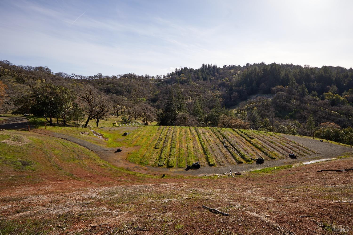 8450 Orr Springs Road Ukiah, CA 95482 - Photo 47 of 55