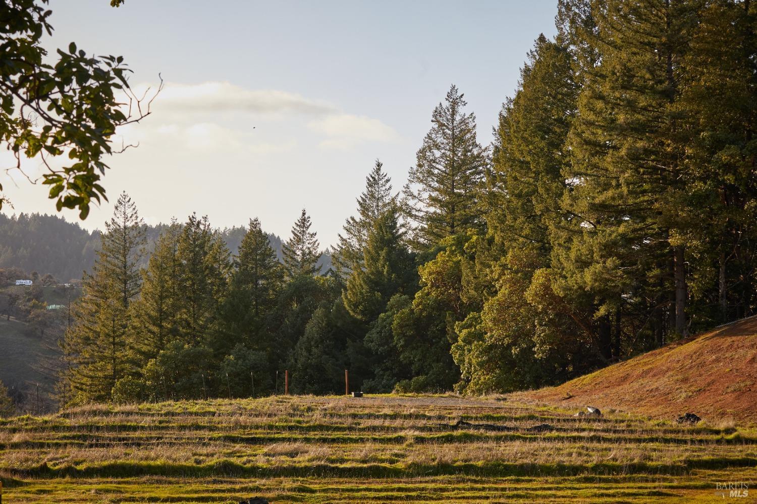 8450 Orr Springs Road Ukiah, CA 95482 - Photo 51 of 55