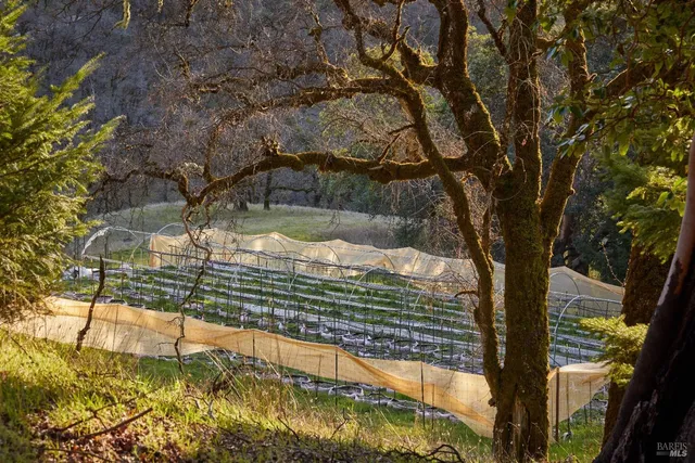 $985,000 | 8450 Orr Springs Road, Ukiah, CA 95482