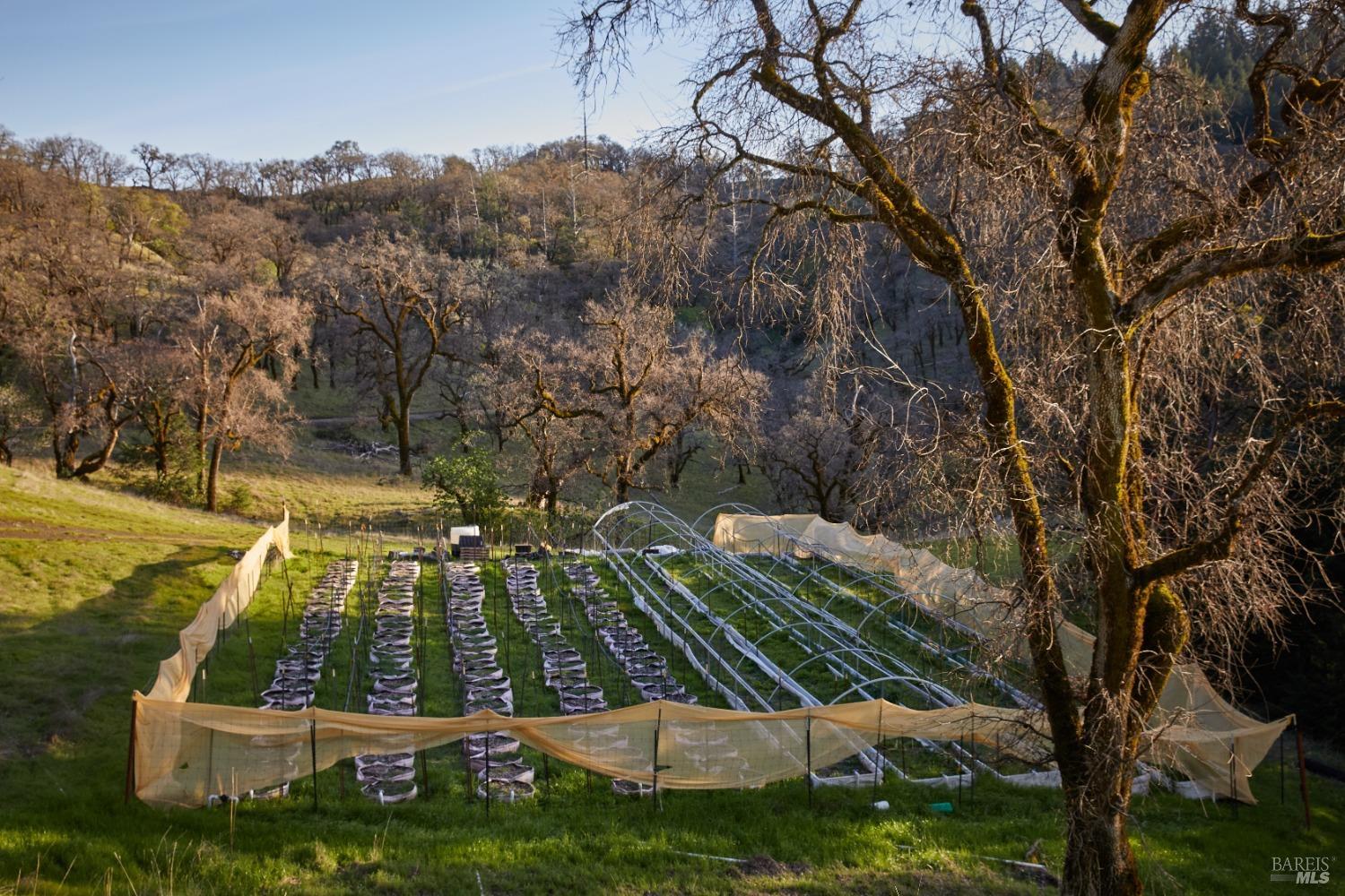 8450 Orr Springs Road Ukiah, CA 95482 - Photo 53 of 55