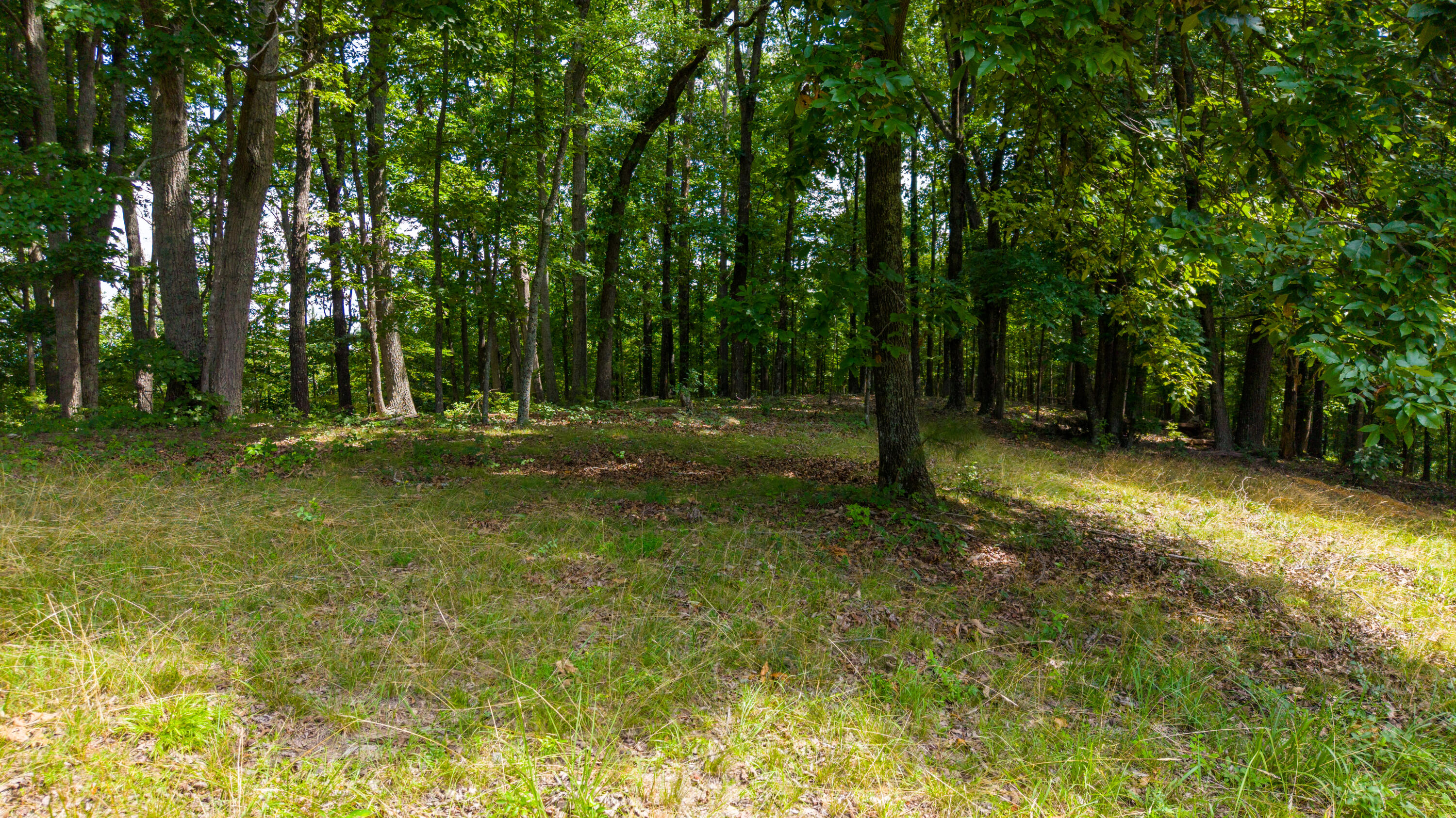 3270 Lake Kathy Road Tunnel Hill, GA 30755 - Photo 41 of 51 Lot 5 Forest