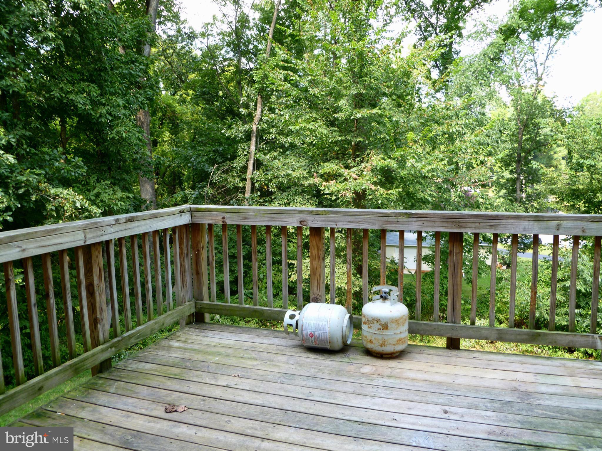 183 Locust Grove Road Front Royal, VA 22630 - Photo 15 of 23 Exterior (Rear)