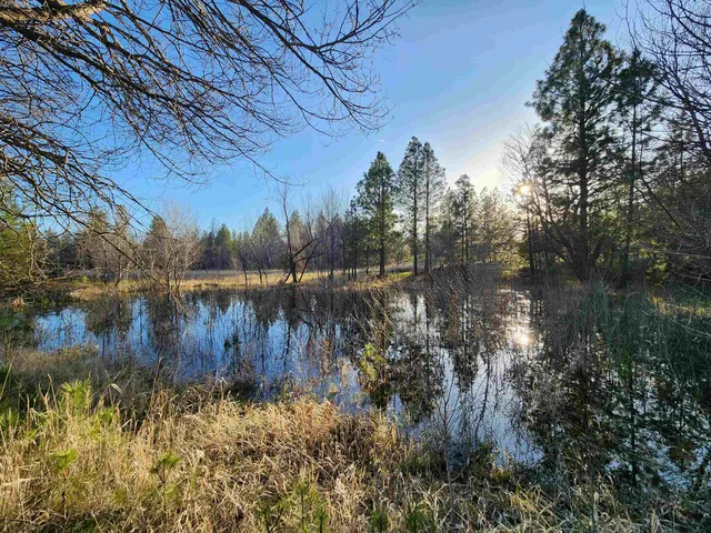 $275,000 | 20595 West Baker Road, Cheney, WA 99004