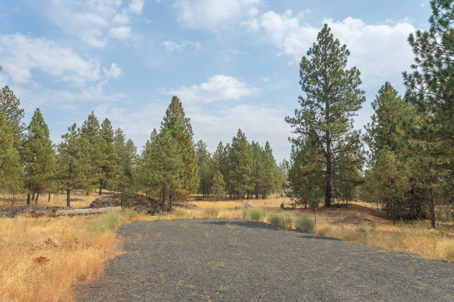 20595 West Baker Road Cheney, WA 99004 - Photo 13 of 32