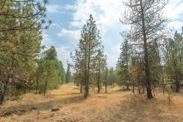 $275,000 | 20595 West Baker Road, Cheney, WA 99004