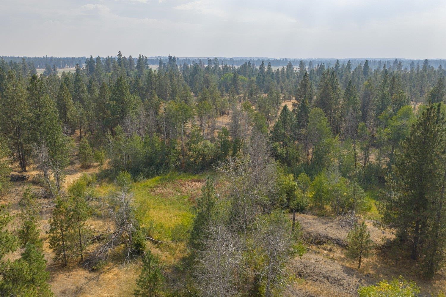 20595 West Baker Road Cheney, WA 99004 - Photo 23 of 32