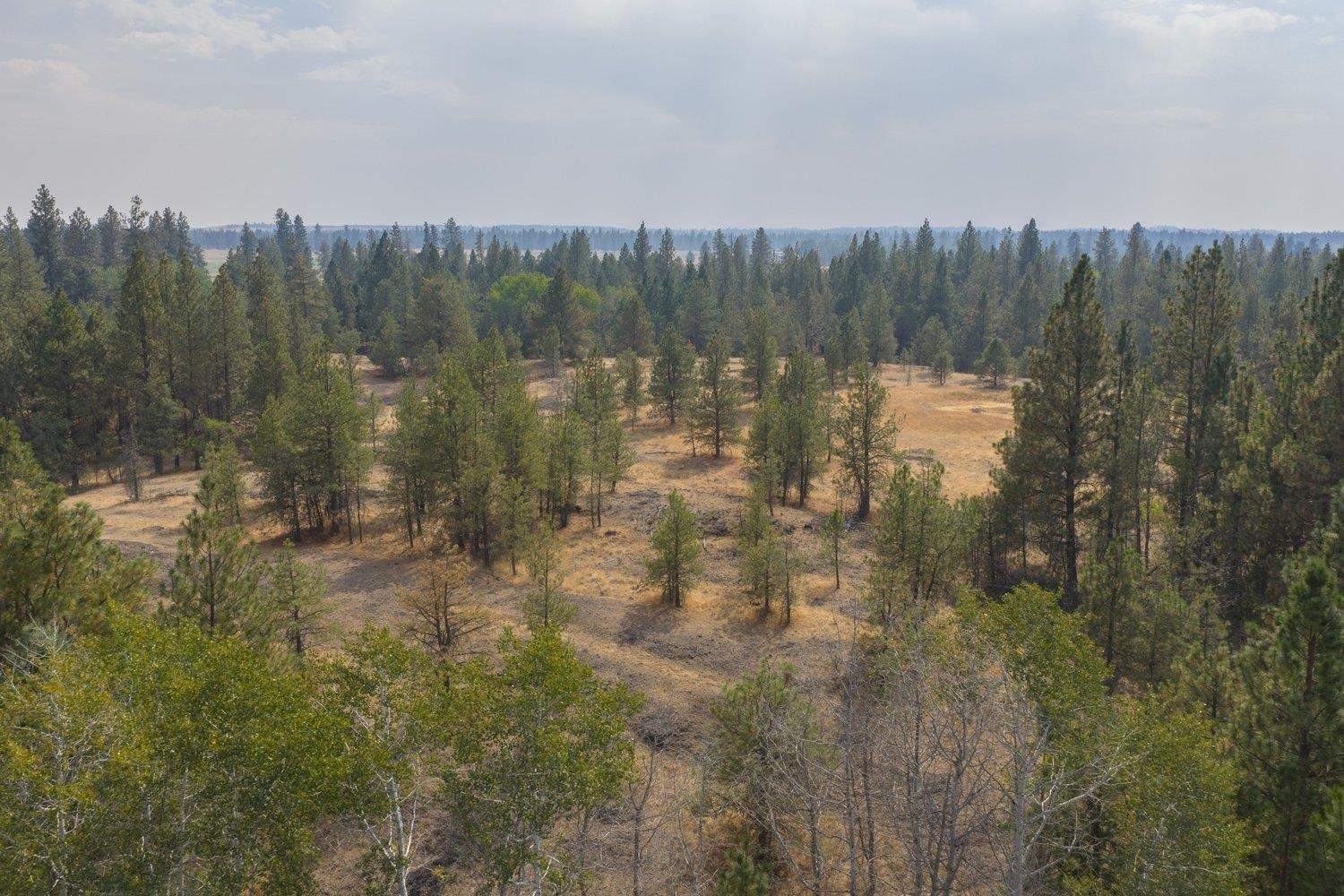 20595 West Baker Road Cheney, WA 99004 - Photo 24 of 32