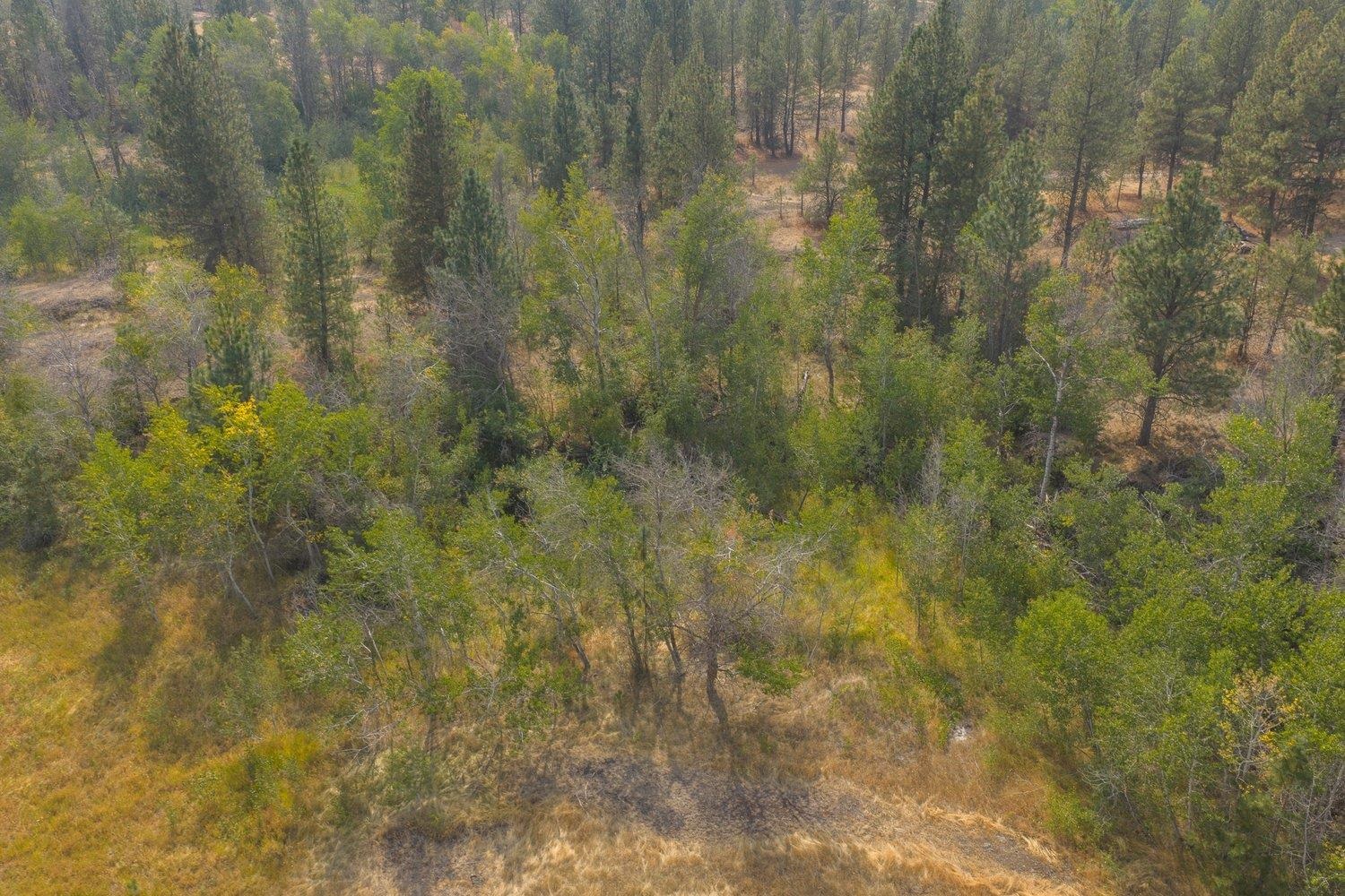 20595 West Baker Road Cheney, WA 99004 - Photo 27 of 32