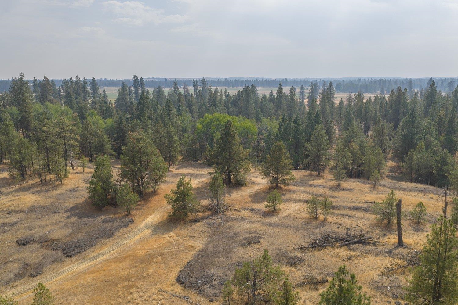 20595 West Baker Road Cheney, WA 99004 - Photo 29 of 32