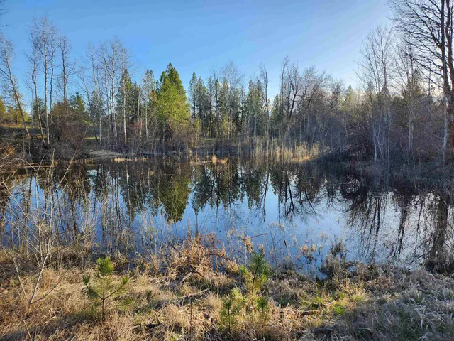 $275,000 | 20595 West Baker Road, Cheney, WA 99004