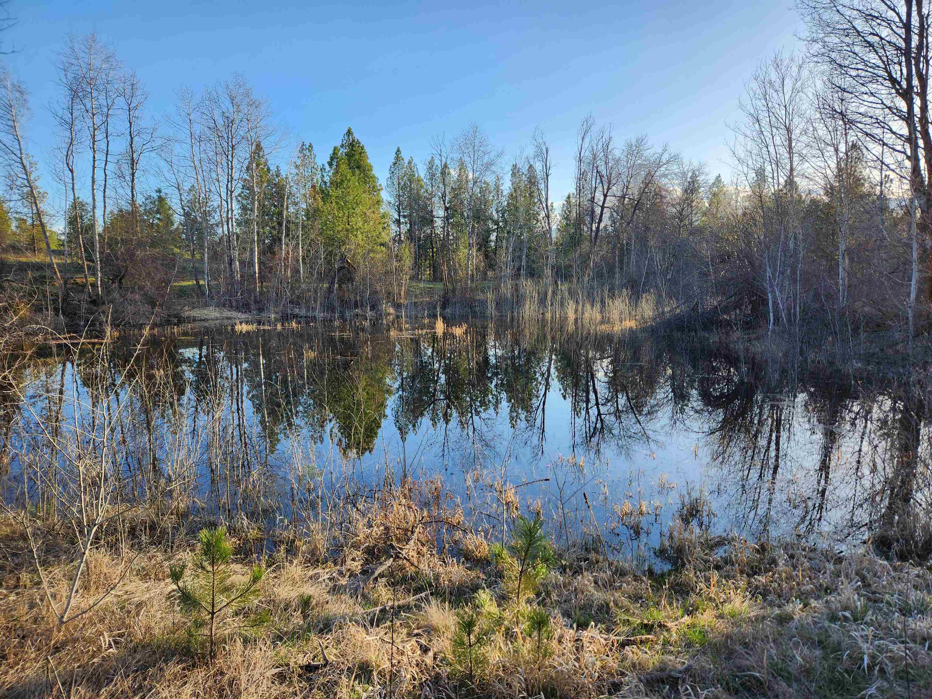 20595 West Baker Road Cheney, WA 99004 - Photo 31 of 32