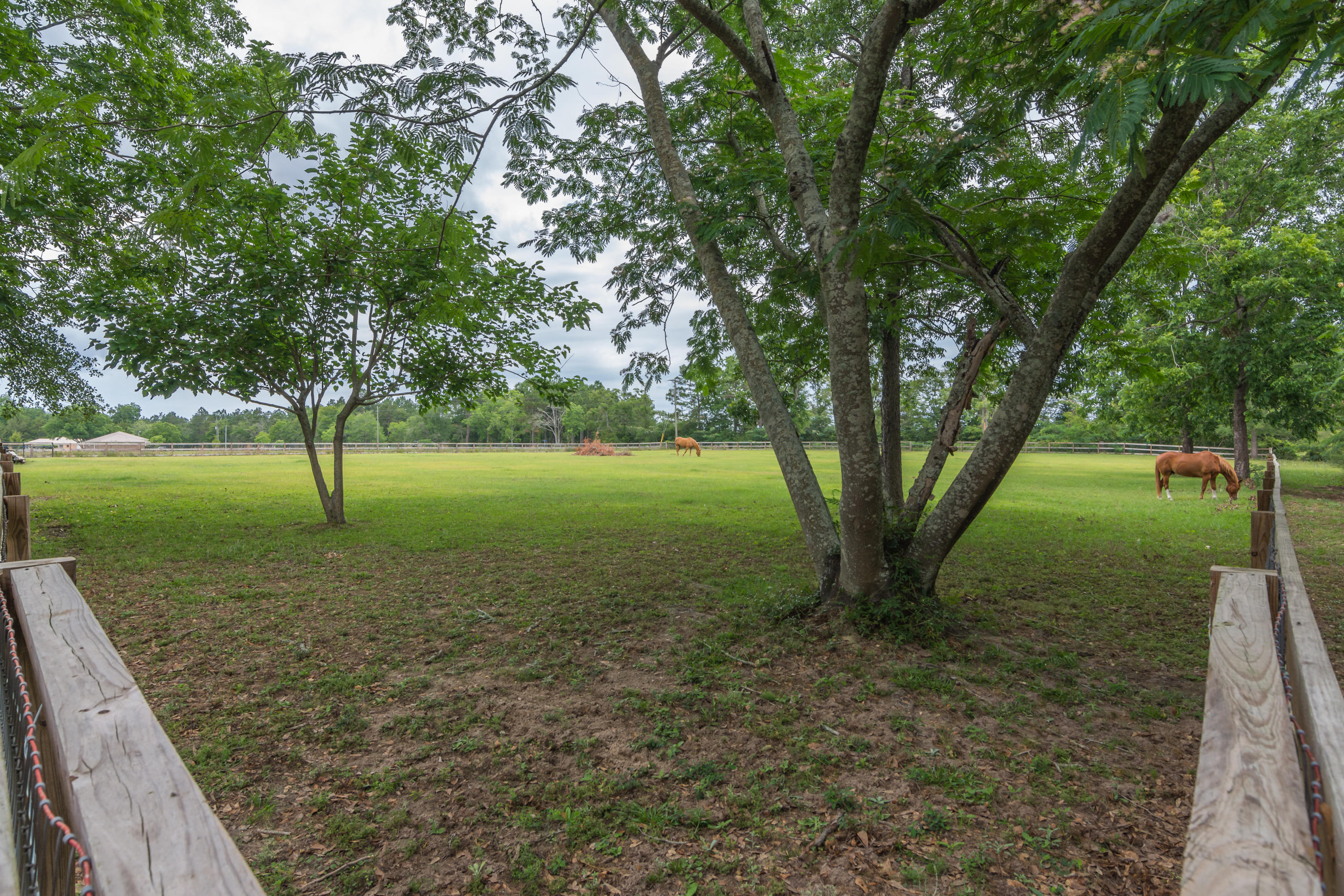 5780 Griffith Mill Road Baker, FL 32531 - Photo 39 of 50 a view of a garden with trees