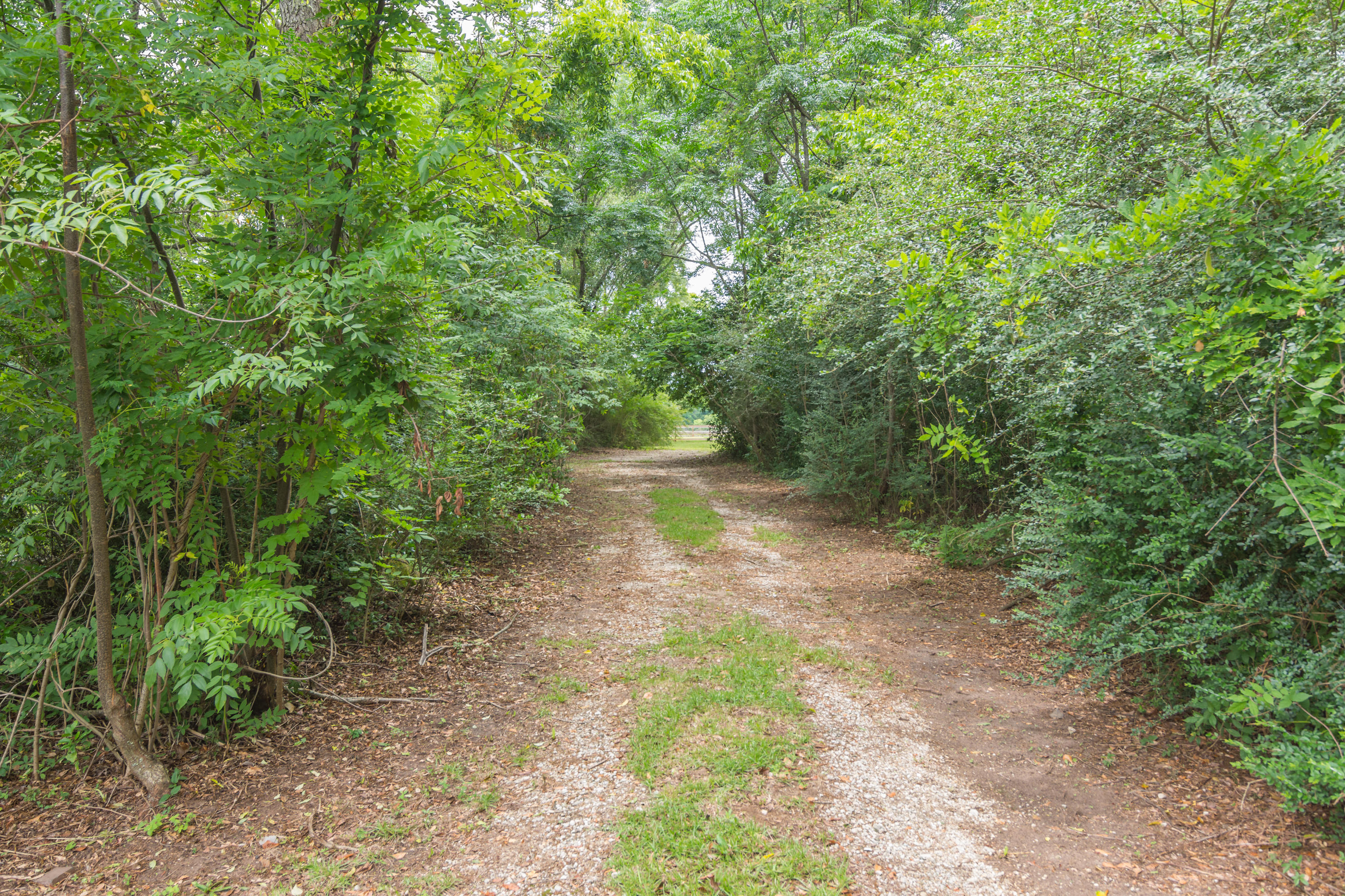 5780 Griffith Mill Road Baker, FL 32531 - Photo 40 of 50 a view of a yard with plants and a tree